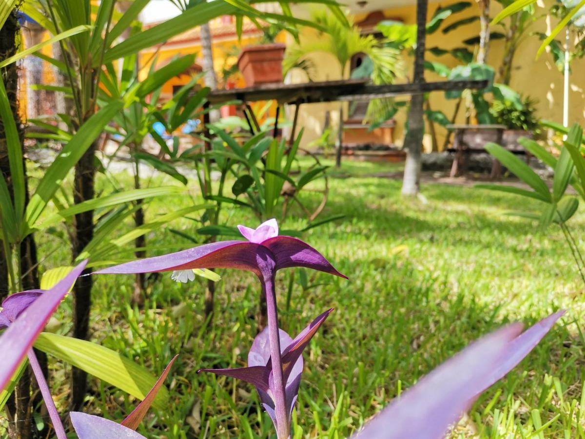 Hotel Hacienda Valentina à Playa del Carmen Extérieur photo